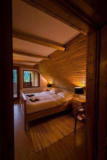 Фото номера Улучшенное шале Шале Chalet M г. Lunca Bradului 75