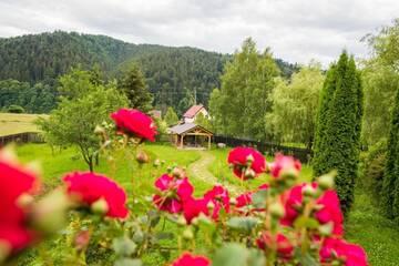 Фото номера Улучшенное шале Шале Chalet M г. Lunca Bradului 49