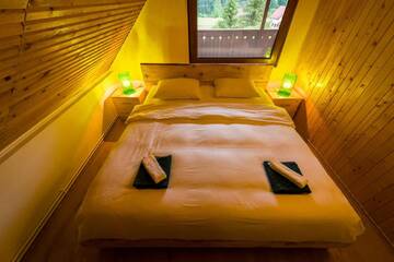 Фото номера Улучшенное шале Шале Chalet M г. Lunca Bradului 23