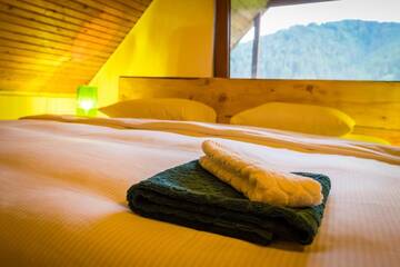 Фото номера Улучшенное шале Шале Chalet M г. Lunca Bradului 24